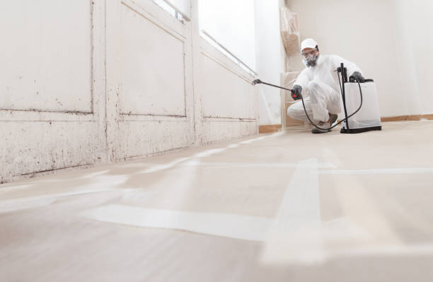 24/7 Emergency Attic Mold Remediation experts in Parrish, FL